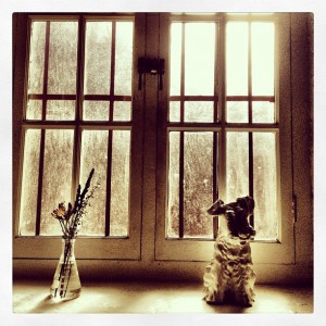 Vaza in pes na okenski polici